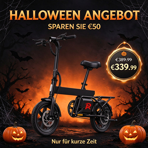 Zoll bike 250w - e-bike,